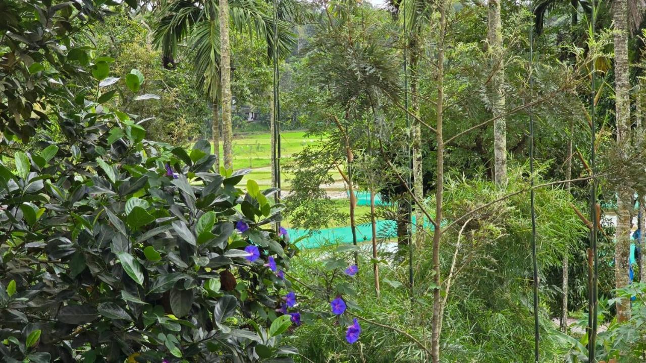 Отель Green Aura Салтэн-Батери Экстерьер фото